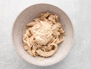 shredded chicken as creamy mixture