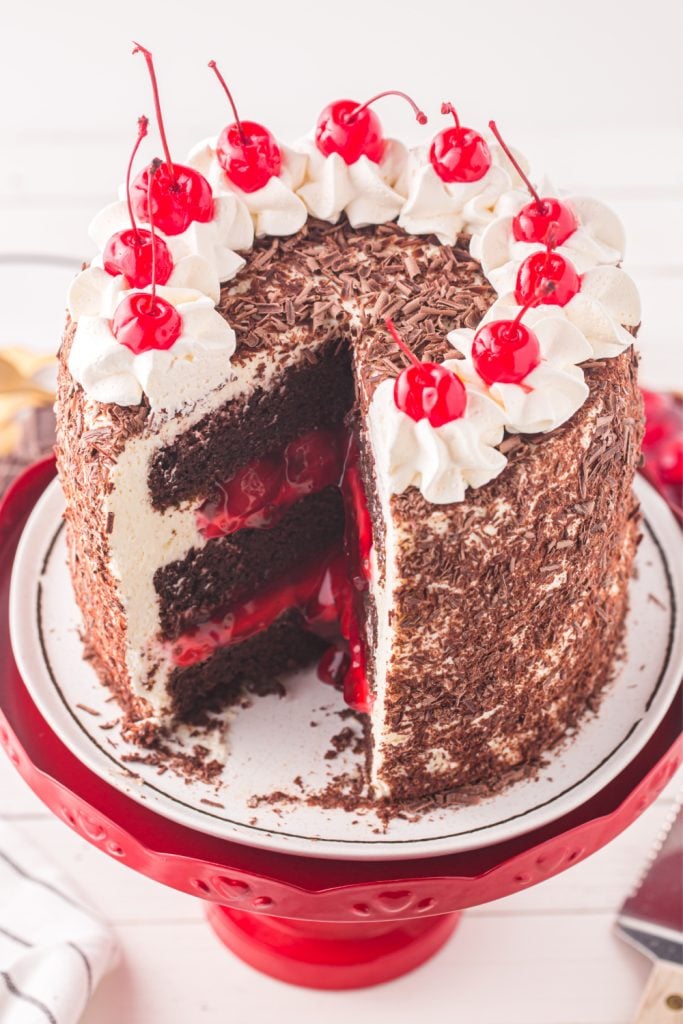 Slice of black forest cake