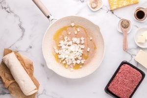 onions and oil in a pan