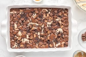 mini chocolate chips and reese added on top of the mixture