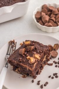 Chocolate Peanut Butter Earthquake Cake