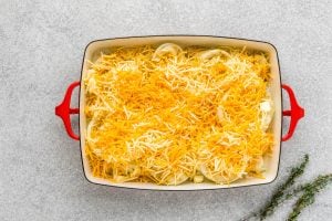 cheese sprinkled on top of onions