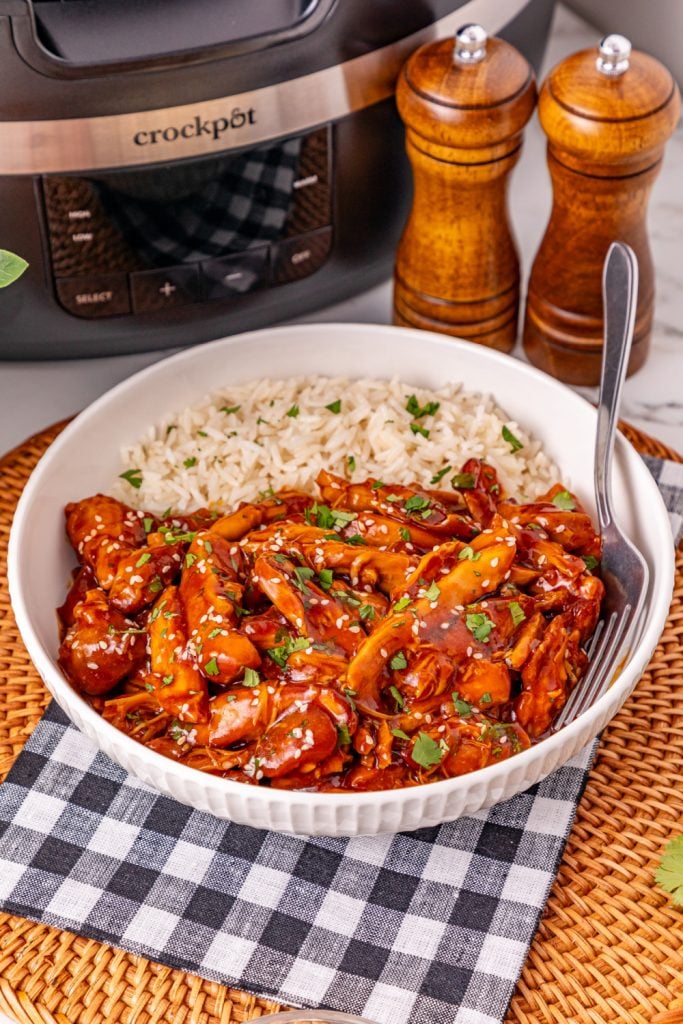Slow Cooker Honey Garlic Chicken in a bowl with rice