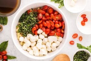 mozzarella, tomatoes and half of the basil ribbons added to bowl with pasta