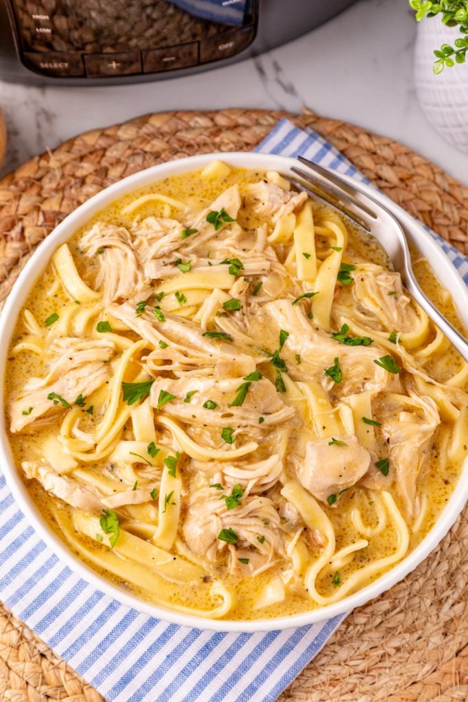 Slow Cooker Chicken and Noodles in a bowl
