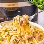 Slow Cooker Chicken and Noodles in a bowl with a fork