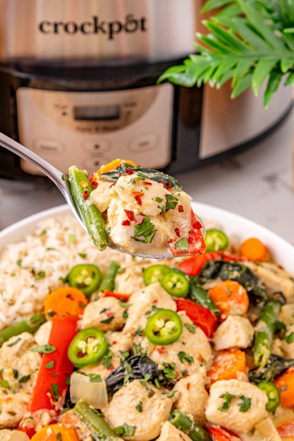 Slow Cooker Thai Green Curry Chicken with rice in a bowl