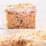 slice of Butternut Squash Cake