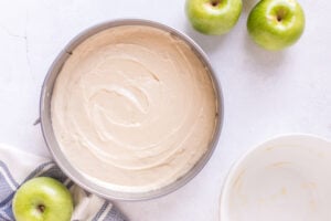 cake mixture place into pan