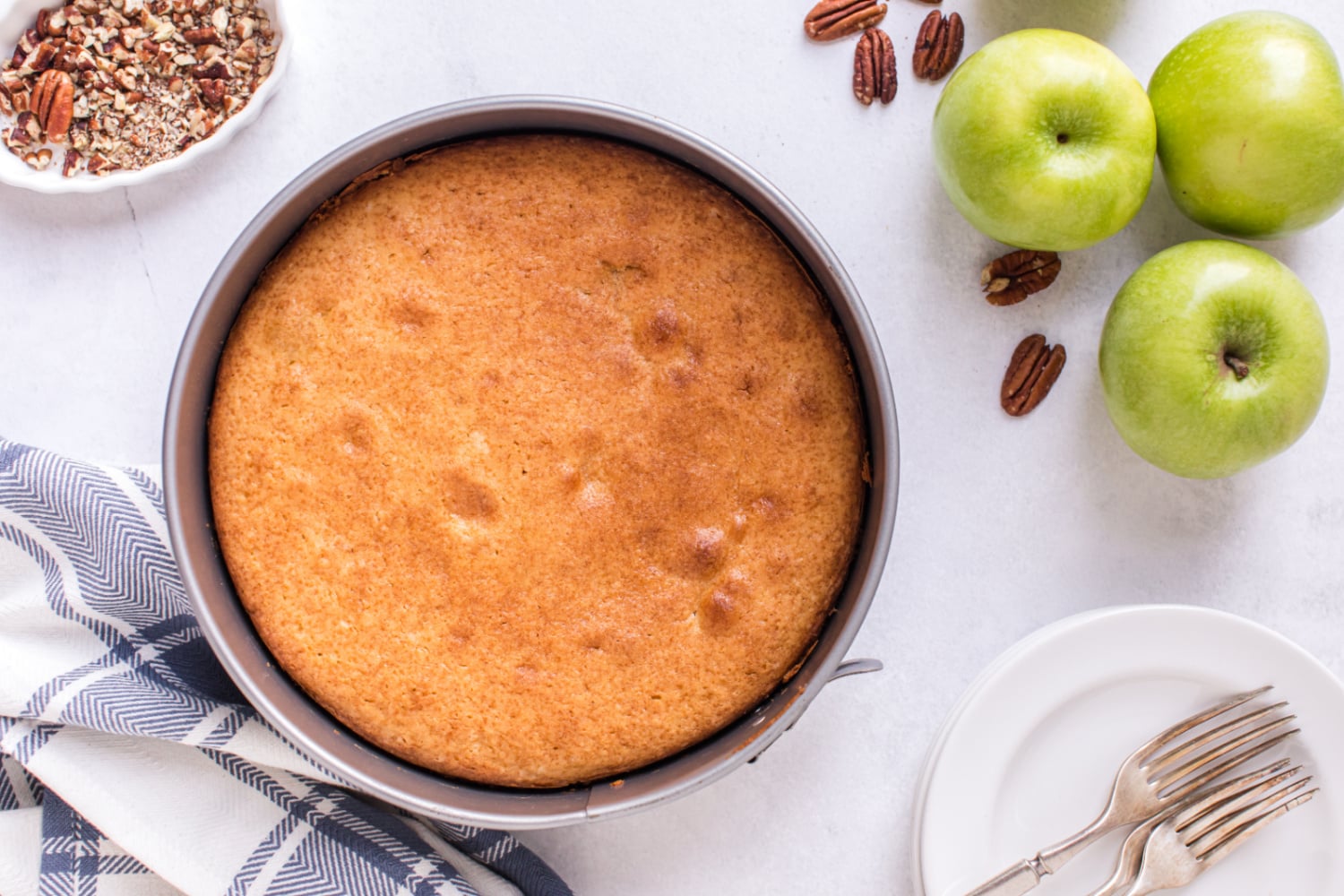 baked cake in a pan